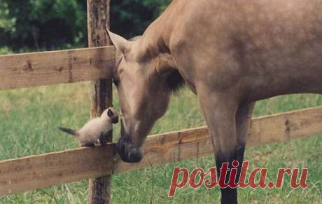 20142801221832.jpg (Изображение JPEG, 600 × 379 пикселов)