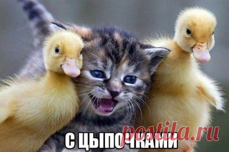 Михаил Мартынов