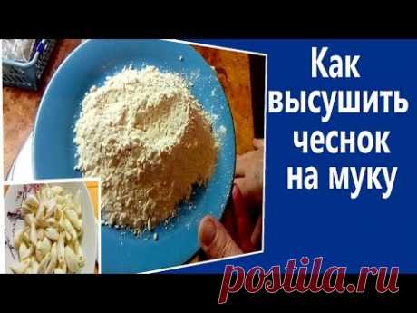 Как приготовить чесночный порошок.  Как сохранить чеснок зимой если он прорастает