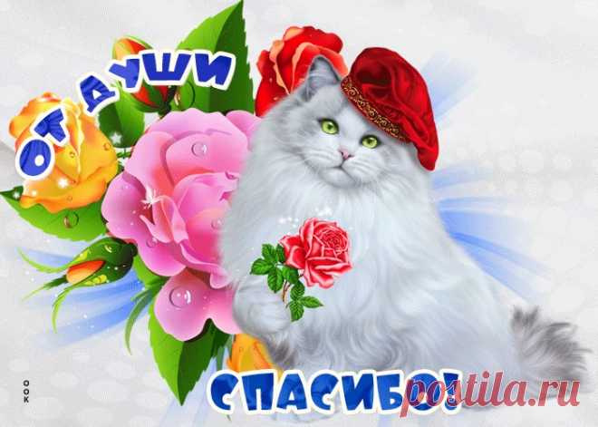 Картинки Спасибо