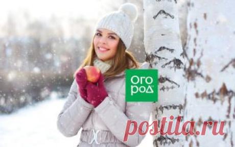 Прописка на даче по новому закону – кто и как может получить | Полезно (Огород.ru)