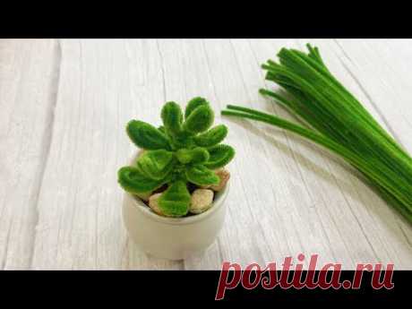 Handmade DIY Pipe Cleaner - How To Make Succulent Plant With Pipe Cleaner - Pipe Cleaner Craft