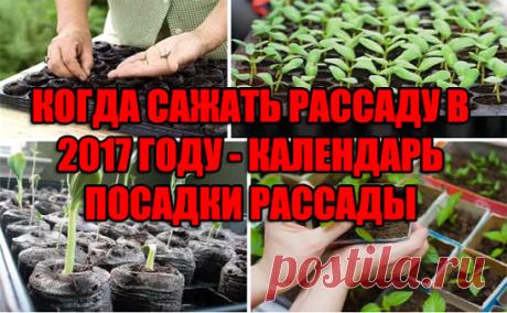 (14) Одноклассники