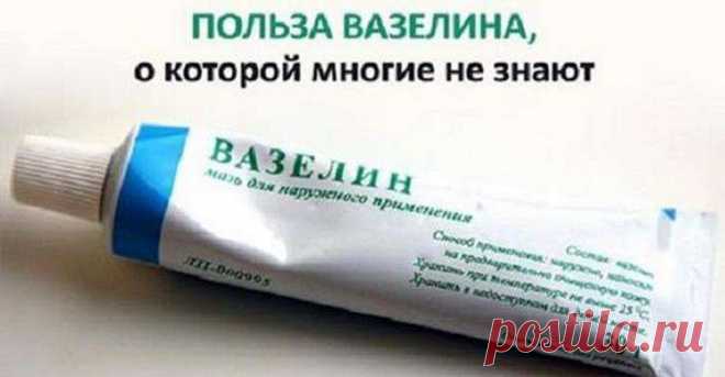 Польза вазелина, о которой многие не знают — Лепрекон