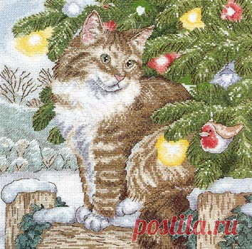 новогодний котик
