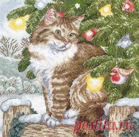 новогодний котик