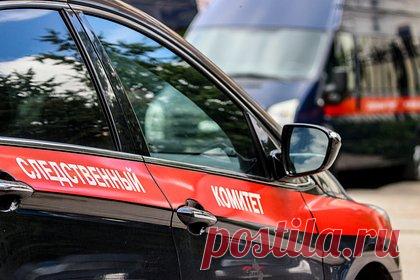 Ударивший пожилую россиянку ногой по лицу курьер оказался психически больным