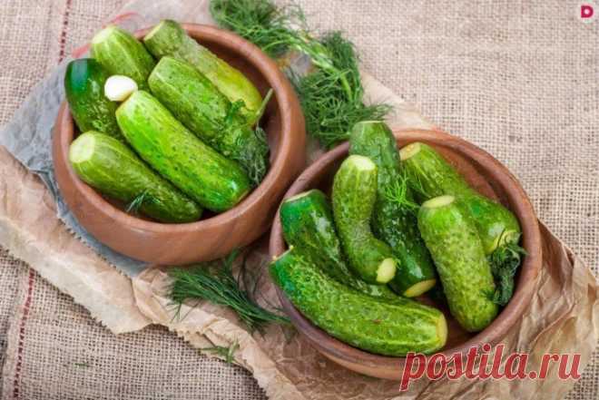 Маринованные огурчики “Болгария отдыхает”