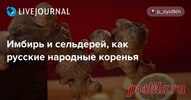 Имбирь и сельдерей, как русские народные коренья - История русской кухни