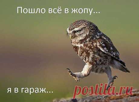 Шире шаг на проходе