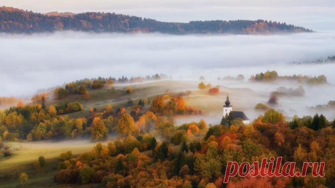 2948566_1000n.jpg (1000×562)