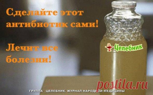 ВОТ САМЫЙ МОЩНЫЙ ПРИРОДНЫЙ АНТИБИОТИК В МИРЕ! УБЬЕТ ЛЮБУЮ ИНФЕКЦИЮ