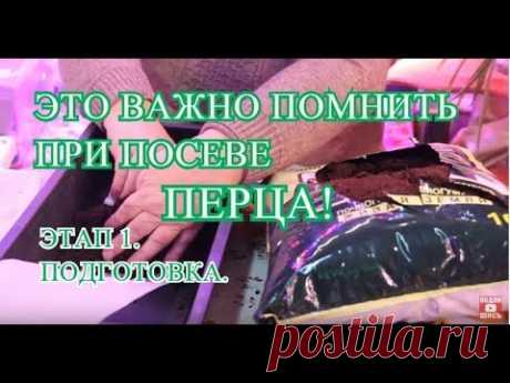 ЭТО ВАЖНО ПОМНИТЬ ПРИ ПОСЕВЕ ПЕРЦА! ЭТАП 1. ПОДГОТОВКА.