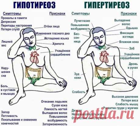 Низкий пульс: причины, что делать в домашних условиях и как поднять