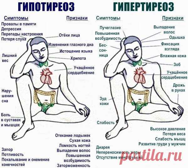 Низкий пульс: причины, что делать в домашних условиях и как поднять