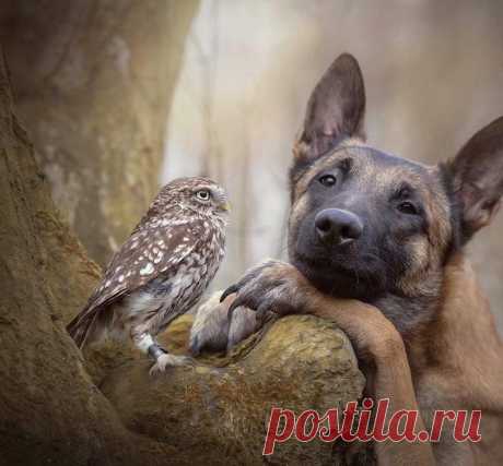 Доброта