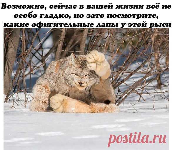 Невероятно, но факт