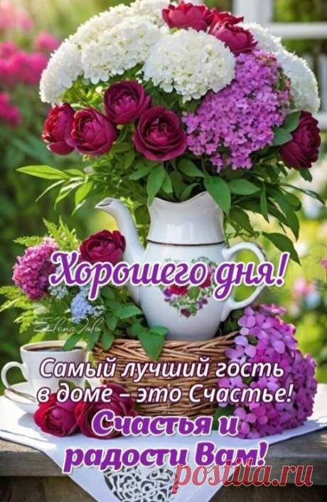 Доброе утро, среда! Пусть сегодня будет по-настоящему добрый день.