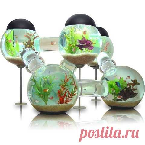 100 чудес света