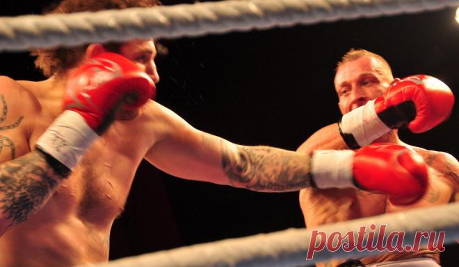 Держитесь подальше от середины: почему на полпути к вершине так трудно Доктор психологии Анджела Ахола рассказывает о связи стресса и статуса и о том, как не стать агрессором для коллег