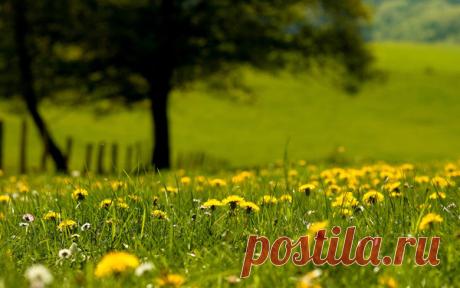 СОСУДЫ КАК В МОЛОДОСТИ !МЕТОДЫ ОЧИСТКИ СОСУДОВ МОЗГА - """ВСЕ БУДЕТ ХОРОШО! - Группы Мой Мир