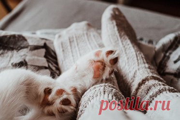 Почему мёрзнут ноги: 10 причин. В статье MedAboutMe поговорим о том, почему мёрзнут ноги: 10 вероятных причин
