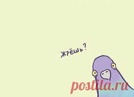 Лайфхак