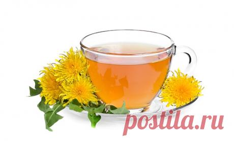 Чай из одуванчиков для похудения в домашних условиях