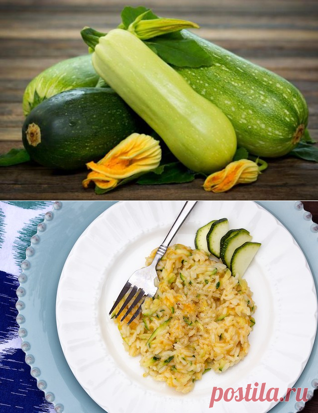 Что делать с урожаем кабачков: Три простых и вкусных рецепта