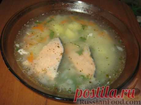 Вкусный суп из семги