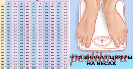 Не спеши худеть! Это необходимо знать каждому при измерении веса. Таблицы соотношения веса и роста, которые используют профессионалы. Но учитывайте, показатели веса немного варьируются в зависимости от пола, возраста и физиологических особенностей человека     Существуют разные формулы для определения …