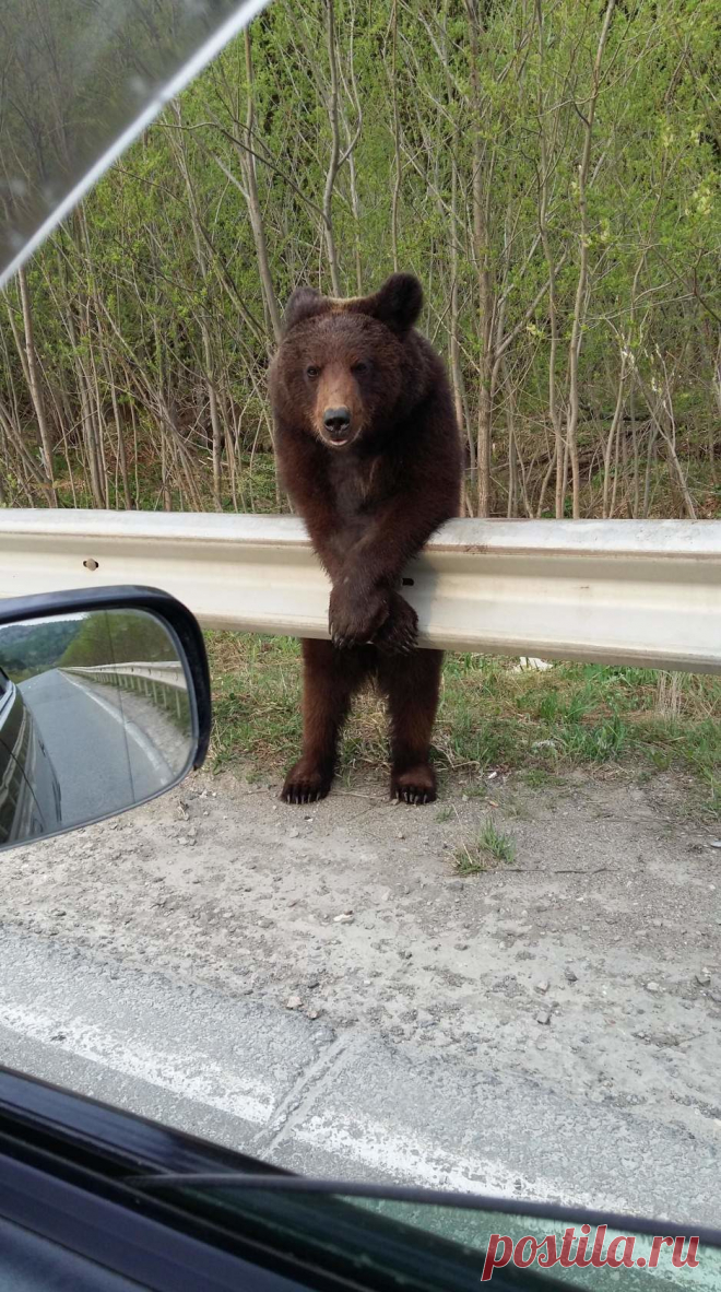 Одноклассники. Доброго пути, пацаны! Нягань, 2016.