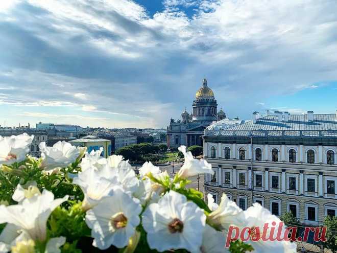Весна лето в петербурге фото: 2 тыс изображений найдено в Яндекс Картинках