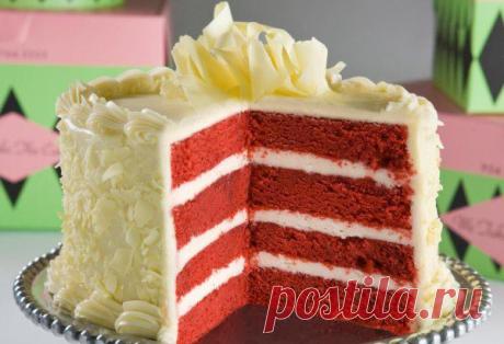 Торт Красный бархат: Секреты приготовления и рецепт - Кулинарные советы для любителей готовить вкусно - Хозяйке на заметку - Кулинария - IVONA - bigmir)net - IVONA
