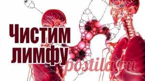 Как почистить лимфу — 10 простых способов в домашних условиях, что даст эта процедура и как провести ее правильно и быстро? Вы узнаете, как правильно почистить лимфу и можно ли это сделать в домашних условиях. Мы рассмотрим 10 быстрых и простых способов ее очистки. Расскажем, что даст эта процедура и какие противопоказания она имеет.