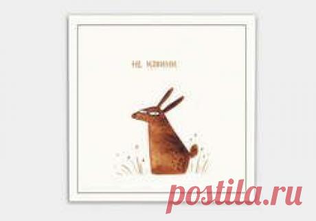 «Картинная галерея» Day.Az: Открытки для ваших врагов | Новостной Агрегатор