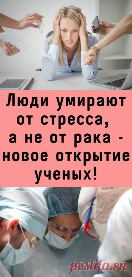 Люди умирают от стресса, а не от рака - новое открытие ученых!