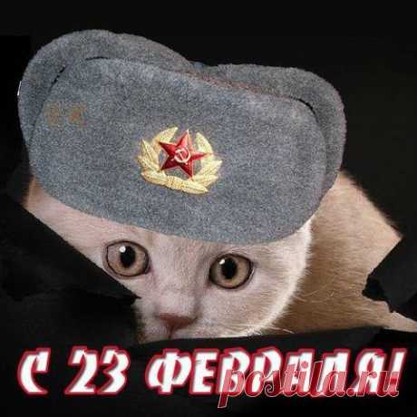 Копилка Впечатлений.
Галина Сенник