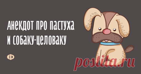Анекдот про пастуха и собаку-целоваку У одного пастуха умерла собака и он пошёл на рынок за новой. Приходит, а там всяких собак великое множество и на любой вкус. Ходил он, смотрел, выбирал,