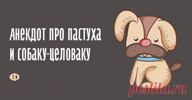Анекдот про пастуха и собаку-целоваку У одного пастуха умерла собака и он пошёл на рынок за новой. Приходит, а там всяких собак великое множество и на любой вкус. Ходил он, смотрел, выбирал,