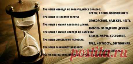 Арина Евдокимова