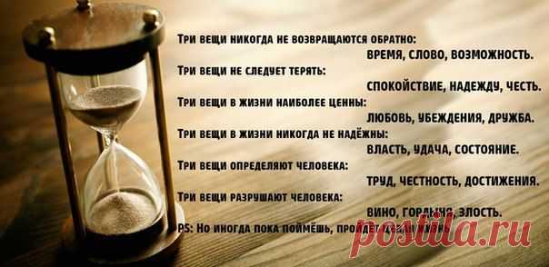 Арина Евдокимова