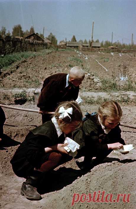 Лица советской эпохи / Назад в СССР / Back in USSR