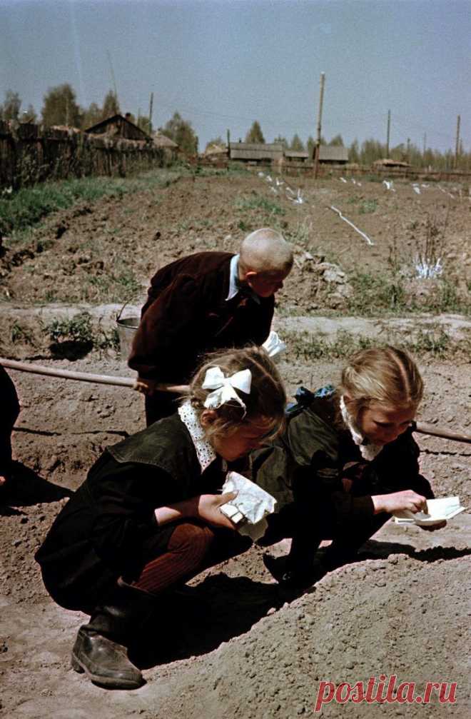 Лица советской эпохи / Назад в СССР / Back in USSR