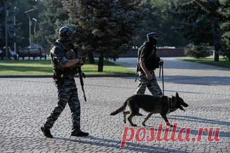 Полицейские Запорожья нашли в пакетах с мукой 20 килограммов взрывчатки. Сотрудники полиции изъяли более 20 килограммов взрывчатки в поселке Михайловка Васильевского района Запорожской области, сообщили в пресс-службе ГУВД по региону. Уточняется, что взрывчатые вещества были запечатаны в пакеты с мукой. Нашли их в одном из заброшенных домовладений.