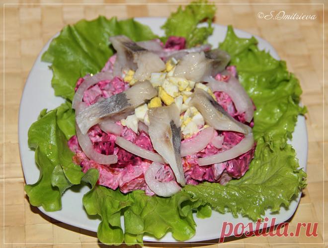 Эстонская кухня | Записи в рубрике Эстонская кухня | Записки Василиски (Светланы Дмитриевой)