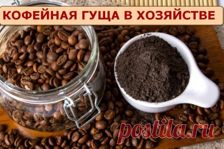 Как использовать кофейную гущу в хозяйстве - 14 советов &amp;raquo; Женский Мир