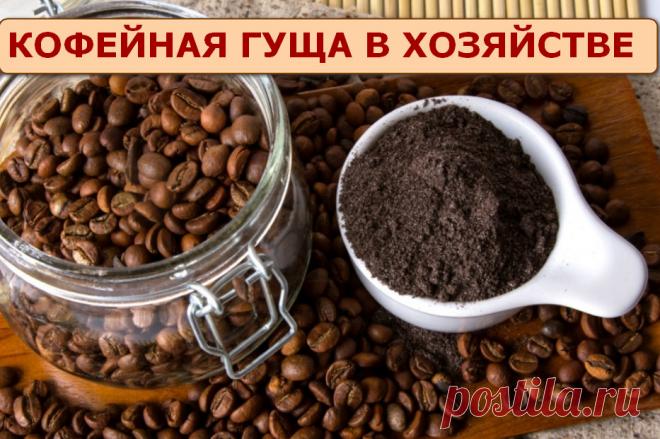 Как использовать кофейную гущу в хозяйстве - 14 советов &raquo; Женский Мир
