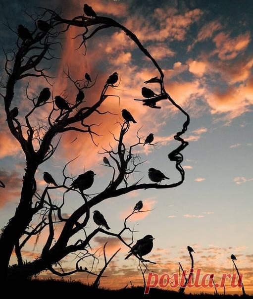 #shaman_ka
Ждать чего-нибудь с нетерпением – это уже половина удовольствия! Вы можете и не получить того, что ожидаете, но ничто не может помешать вам наслаждаться ожиданием.