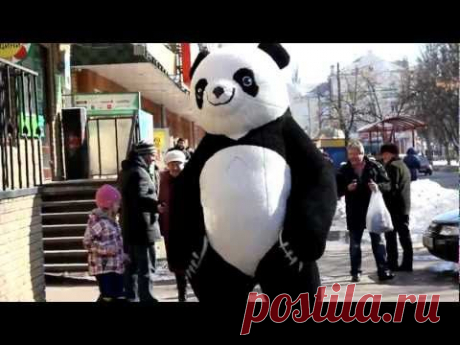 Пневмокостюм (надувной костюм меховой) Панда в Чернигове